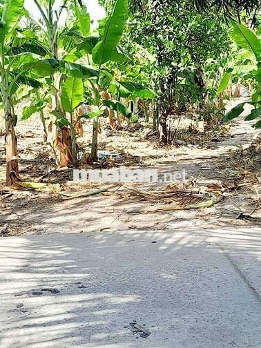 Đất nền thổ cư đô thị mặt tiền lộ bê tông trần đề,thành phố cần thơ