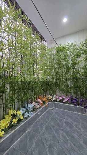 Bán nhà phố Linh Lang - Đào Tấn, 3 ngủ 