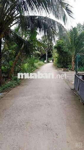 Đất nền thổ cư đô thị mặt tiền lộ bê tông trần đề,thành phố cần thơ