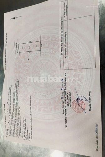 Bán 450m mặt tiền 12m mặt đường Tiên Hội - Cao Dương - Lương Sơn - HB