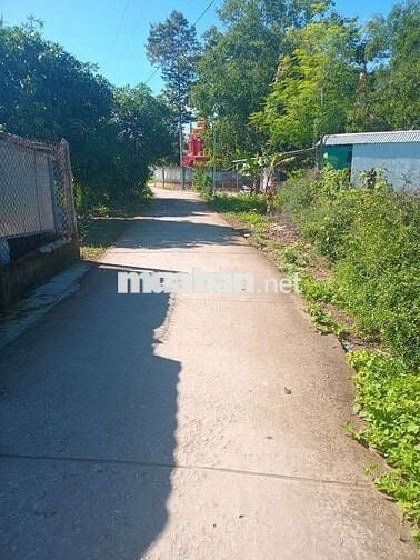 Cần bán 6,96m đất nền thổ cư mặt tiền lộ bê tông  trên 3m trung tâm TĐ