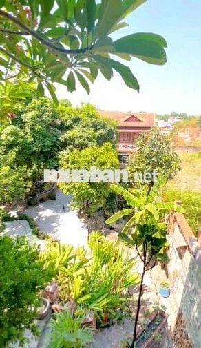 Nhà Vườn Tân An sát Hồ Văn Cống gần 1000m2 sân rộng thoáng tk đẹp