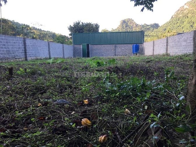 Bán 450m mặt tiền 12m mặt đường Tiên Hội - Cao Dương - Lương Sơn - HB