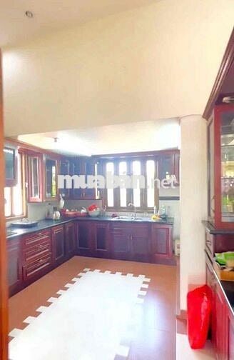 Nhà Vườn Tân An sát Hồ Văn Cống gần 1000m2 sân rộng thoáng tk đẹp