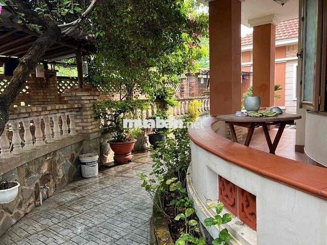 Nhà Vườn Tân An sát Hồ Văn Cống gần 1000m2 sân rộng thoáng tk đẹp