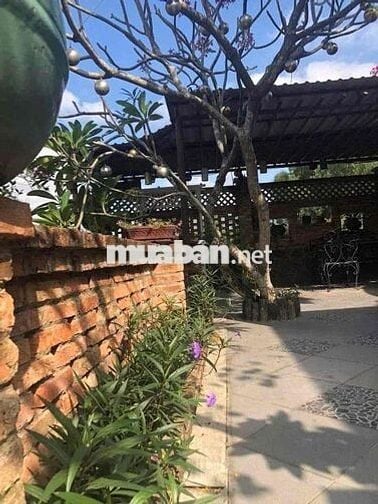 CHO THUÊ BIỆT THỰ SÂN VƯỜN TƯƠNG BÌNH HIỆP- BÌNH DƯƠNG (GC)