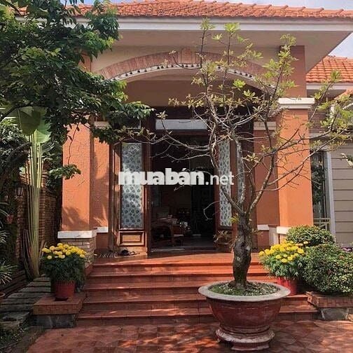 CHO THUÊ BIỆT THỰ SÂN VƯỜN TƯƠNG BÌNH HIỆP- BÌNH DƯƠNG (GC)