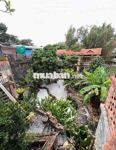 CHO THUÊ BIỆT THỰ SÂN VƯỜN TƯƠNG BÌNH HIỆP- BÌNH DƯƠNG (GC)