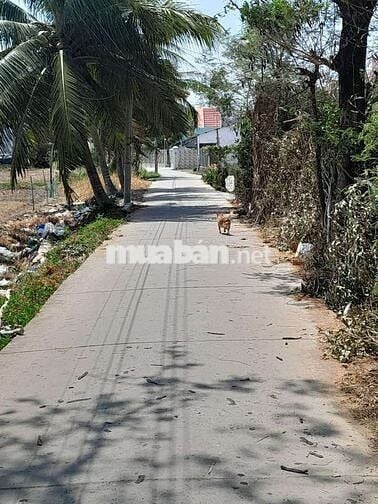 Đất nền thổ cư đô thị mặt tiền lộ bê tông trần đề,thành phố cần thơ