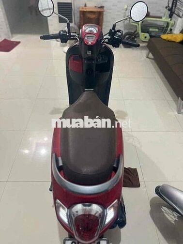 Honda Scoopy 2021 Đỏ