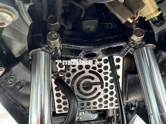 Ex nho 2010 máy rin chất