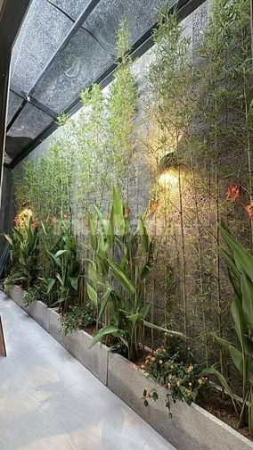 Nhà Đẹp Hoàng Văn Thái, Thanh Xuân 50m, 6 tầng, mt 8.4m, giá 15.3 tỷ.