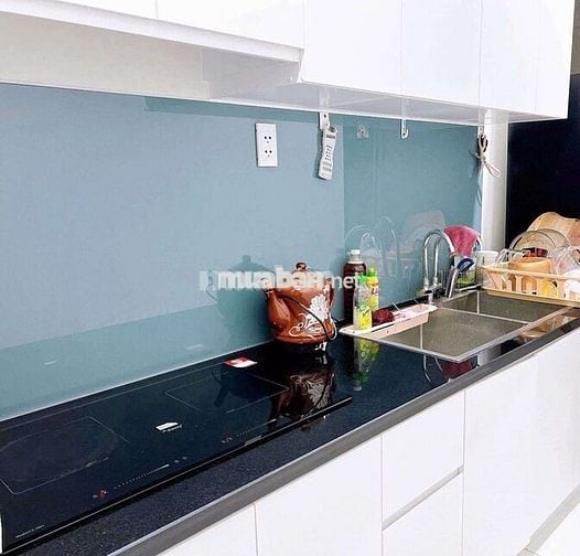 Cho thuê chung cư quận 8 green river 2pn 2wc full nội thất