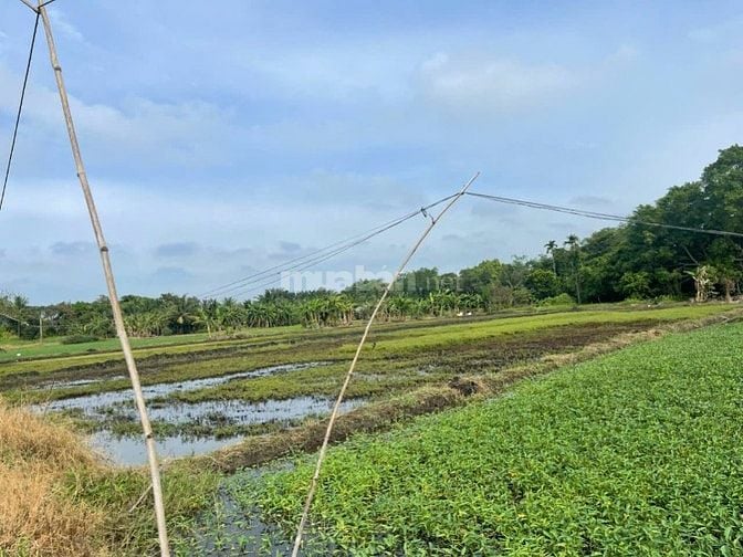 Bán đất Võ Văn Bích, xã Bình Mỹ, Củ Chi nay là xã Bình Mỹ, 5,2triệu/m2