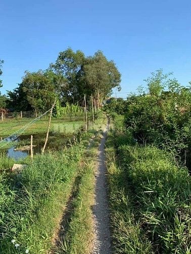 Bán đất Võ Văn Bích, xã Bình Mỹ, Củ Chi nay là xã Bình Mỹ, 5,2triệu/m2