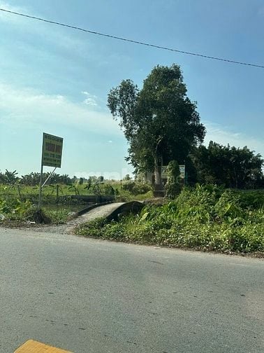 Bán đất Võ Văn Bích, xã Bình Mỹ, Củ Chi nay là xã Bình Mỹ, 5,2triệu/m2