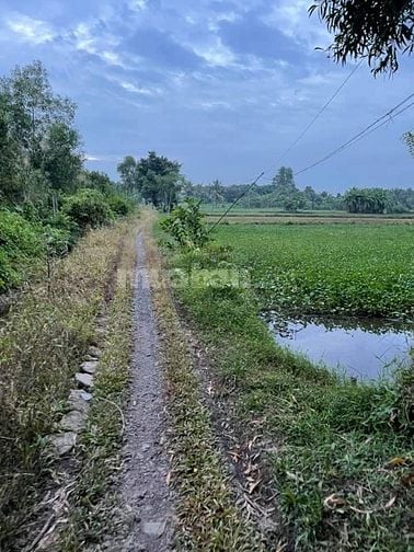 Bán đất Võ Văn Bích, xã Bình Mỹ, Củ Chi nay là xã Bình Mỹ, 5,2triệu/m2