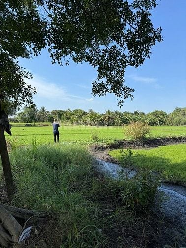 Bán đất Võ Văn Bích, xã Bình Mỹ, Củ Chi nay là xã Bình Mỹ, 5,2triệu/m2