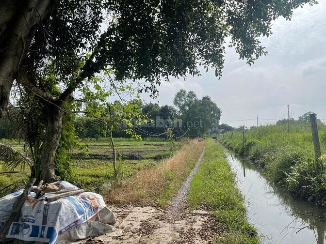 Bán đất Võ Văn Bích, xã Bình Mỹ, Củ Chi nay là xã Bình Mỹ, 5,2triệu/m2