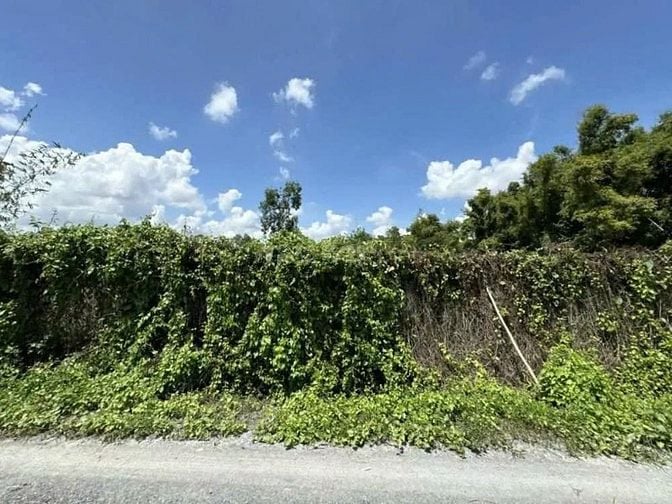 Công ty Đấu giá hợp danh Lam Sơn Sài Gòn THÔNG BÁO ĐẤU GIÁ TÀI SẢN