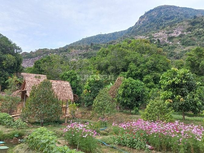 Cần bán đất vườn gần núi Bà Đen 
