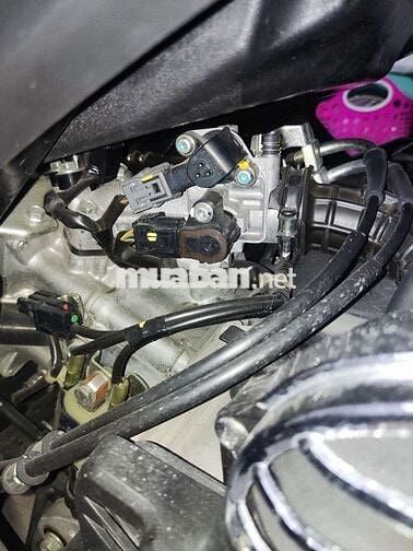 Xe ra đi cứu chủ