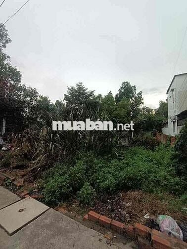 200M2 ĐẤT THỔ CƯ 13X16 FULL THỔ ĐƯỜNG XE HƠI TÂN HIỆP GẦN THỊ TRẤN HM