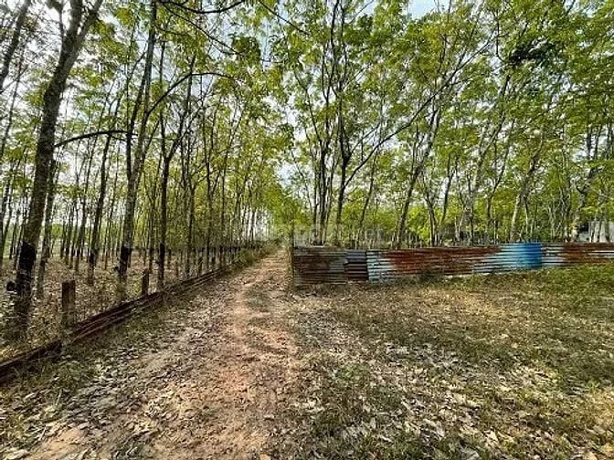 Công ty Đấu giá hợp danh Lam Sơn Sài Gòn THÔNG BÁO ĐẤU GIÁ TÀI SẢN