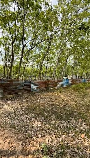 Công ty Đấu giá hợp danh Lam Sơn Sài Gòn THÔNG BÁO ĐẤU GIÁ TÀI SẢN