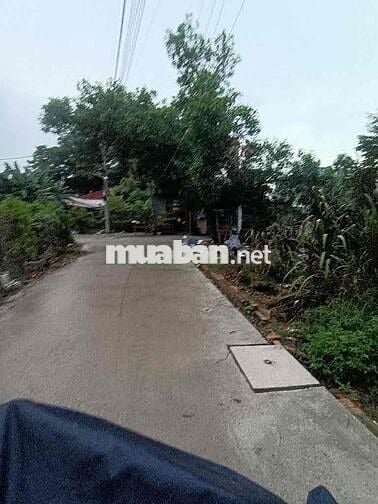 200M2 ĐẤT THỔ CƯ 13X16 FULL THỔ ĐƯỜNG XE HƠI TÂN HIỆP GẦN THỊ TRẤN HM