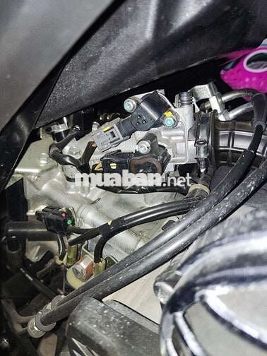 Xe ra đi cứu chủ