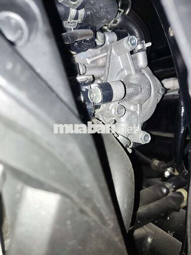 Xe ra đi cứu chủ