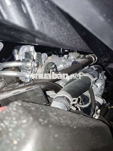 Xe ra đi cứu chủ