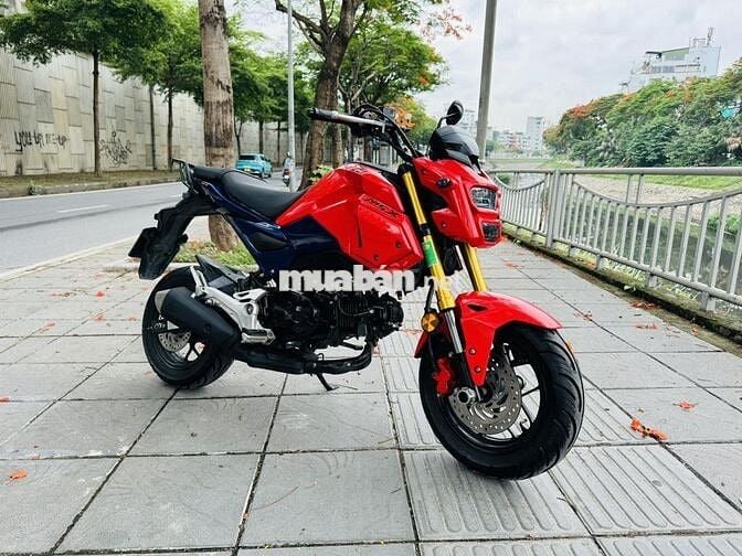 Bán Honda MSX biển 29 đời mới hiện nay