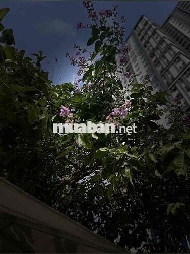 CHO THUÊ CĂN HỘ XI GRAND COURT CHÍNH CHỦ