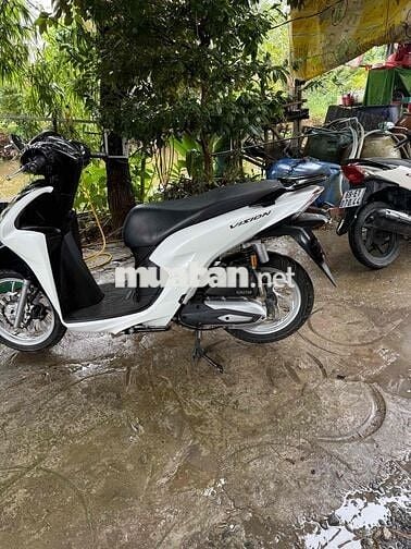 vison 2022 trang đen  doi cao zin dep