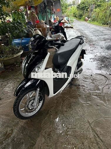 vison 2022 trang đen  doi cao zin dep