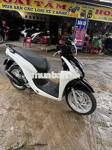 vison 2022 trang đen  doi cao zin dep