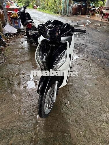 vison 2022 trang đen  doi cao zin dep