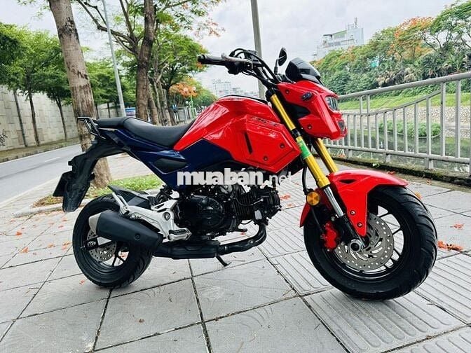 Bán Honda MSX biển 29 đời mới hiện nay