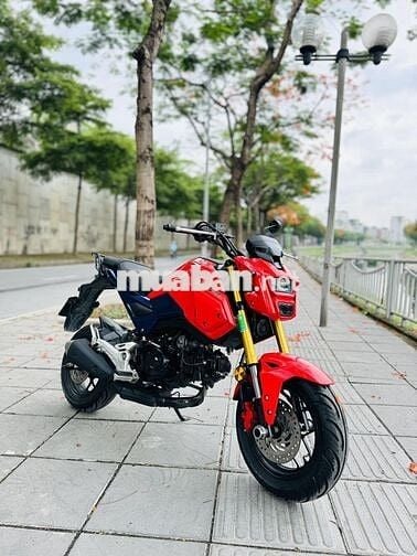 Bán Honda MSX biển 29 đời mới hiện nay