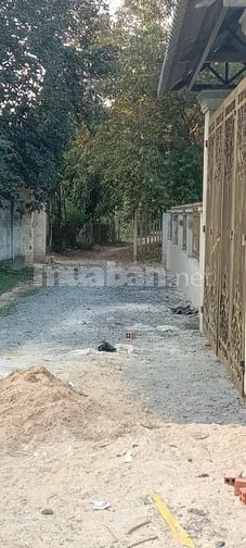 Bán nhà vườn Ng Thị Chì, xã An Nhơn Tây, Củ Chi nay là xã An Nhơn Tây