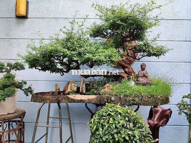 180M2 THỐNG NHẤT PHƯỜNG 16 GÒ VẤP 3 TẦNG 4PN HXH CHÀO GIẢM HƠN 13 TỶ