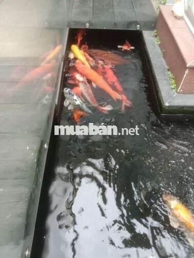 180M2 THỐNG NHẤT PHƯỜNG 16 GÒ VẤP 3 TẦNG 4PN HXH CHÀO GIẢM HƠN 13 TỶ