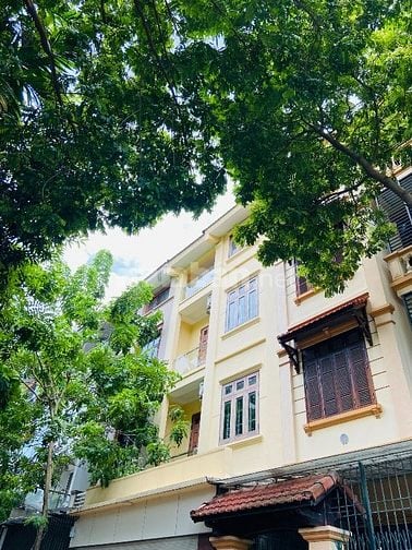 BÁN GẤP..! BIỆT THỰ NGUYỄN CHÁNH 163M2* 55 TỶ - VỈA HÈ 4M - KD.