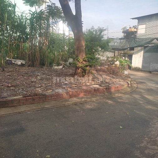 Bán 2 lô liền nhau 5.3*19m và 8*19m. Gần Phan Văn Hớn. Hóc Môn 