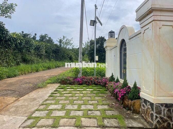 Nhà vườn nghỉ dưỡng ngay khu kiwuki Bảo Lộc DT 1055m2 sẵn 100m thổ cư