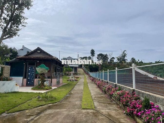 Nhà vườn nghỉ dưỡng ngay khu kiwuki Bảo Lộc DT 1055m2 sẵn 100m thổ cư