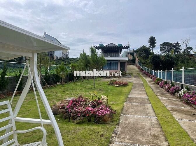 Nhà vườn nghỉ dưỡng ngay khu kiwuki Bảo Lộc DT 1055m2 sẵn 100m thổ cư