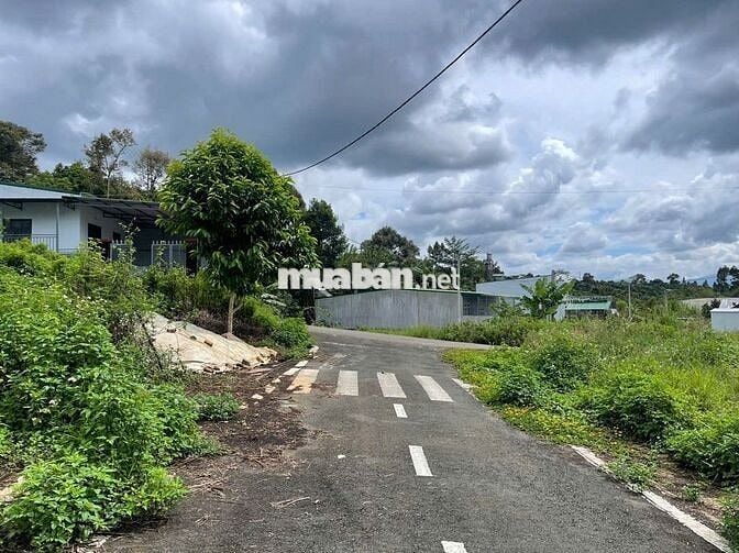 750TR - 124m2 sẵn thổ cư giá tốt 1 lô đất ngay trung tâm Lộc An